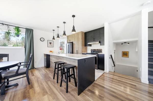 795 Rue Roger-Caron, Sherbrooke (Fleurimont) — photo 11