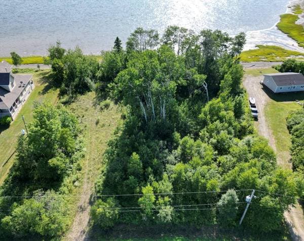 102 Ch. de la Baie-au-Chêne, Pointe-à-la-Croix — photo 1