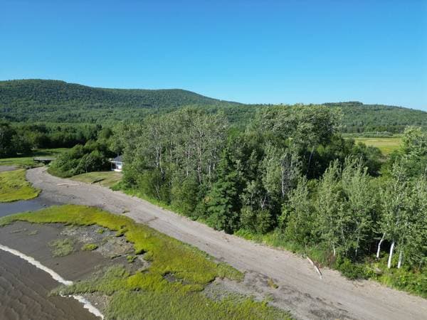 102 Ch. de la Baie-au-Chêne, Pointe-à-la-Croix — photo 8