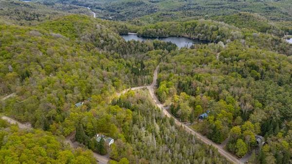 1385 Ch. Indian, Saint-Adolphe-D'Howard — photo 31