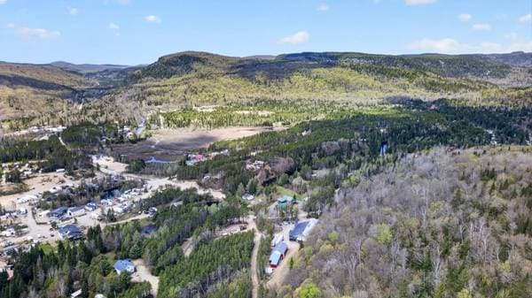 255 Ch. des Mélèzes, Lac-aux-Sables — photo 67