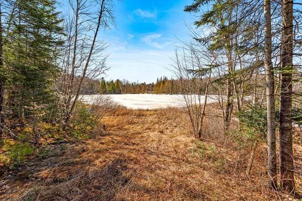 11 Ch. Lac Patricia, Saint-Gabriel-de-Brandon — photo 15
