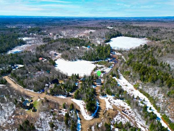11 Ch. Lac Patricia, Saint-Gabriel-de-Brandon — photo 18