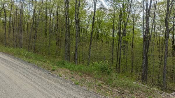 Allée du Wigwam, Mont-Tremblant — photo 13