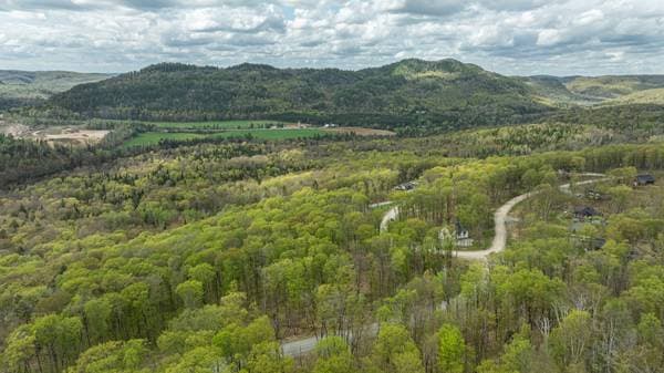 Allée du Wigwam, Mont-Tremblant — photo 7