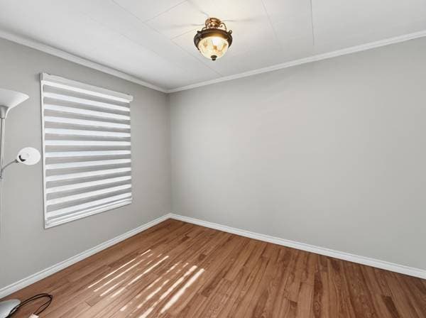 79 Av. Elm, Témiscaming — photo 5