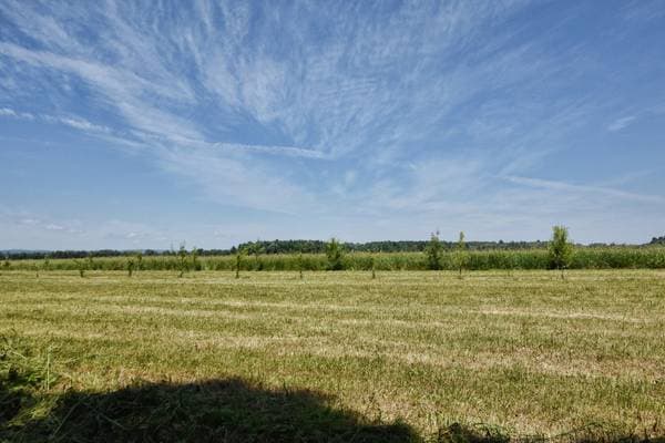 1310Z Rg Montcalm, Saint-Liguori — photo 29