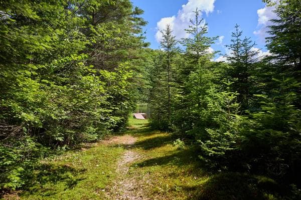 2034 Ch. du Lac-des-Trois-Frères, Saint-Adolphe-D'Howard — photo 44