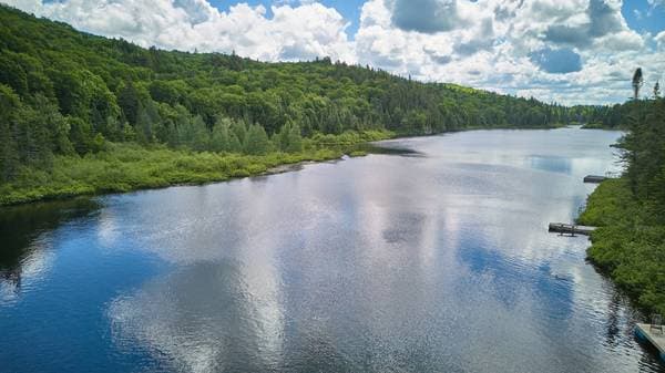 2034 Ch. du Lac-des-Trois-Frères, Saint-Adolphe-D'Howard — photo 6