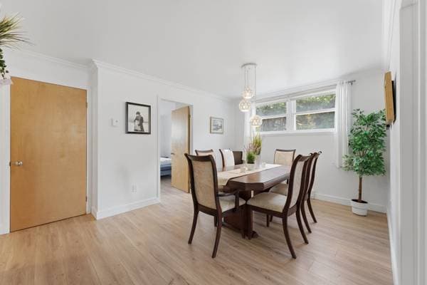 15290 Av. St-Louis, Saint-Hyacinthe — photo 18