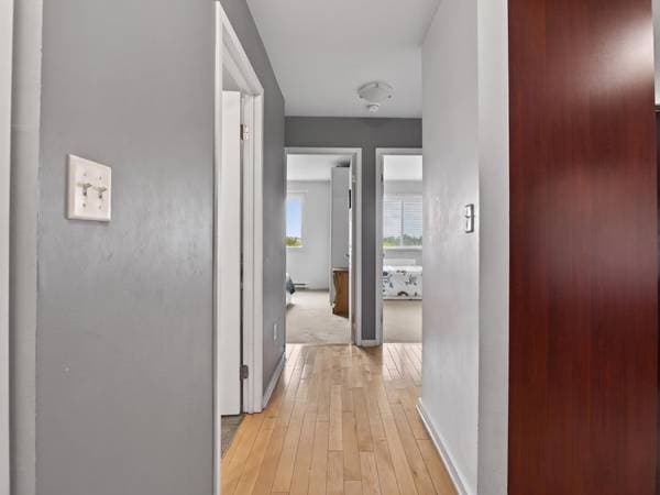 445 Av. Ste-Croix #609, Montréal (Saint-Laurent) — photo 19