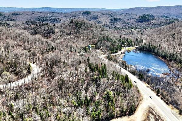 Ch. du Village, Saint-Adolphe-D'Howard — photo 3