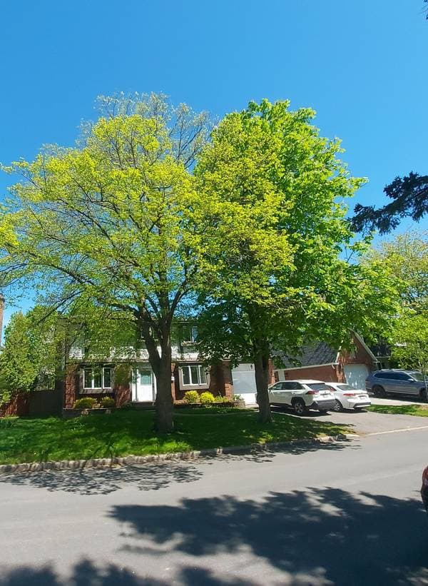 63 Av. de la Moselle, Saint-Lambert — photo 4