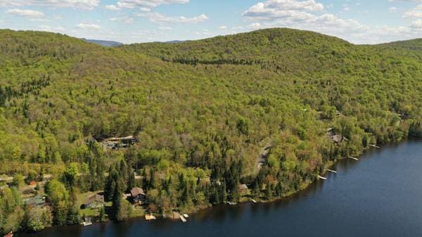 Ch. du Lac-Boileau, Lac-Supérieur — photo 11