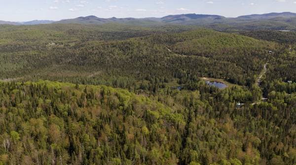 Ch. du Lac-Boileau, Lac-Supérieur — photo 13