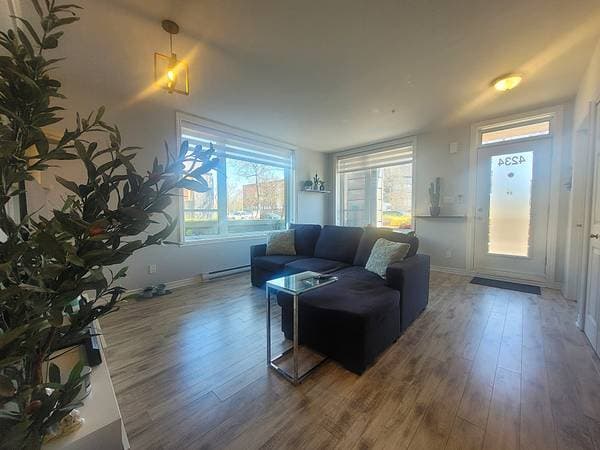 4234 Rue La Perrière, Longueuil (Saint-Hubert) — photo 12