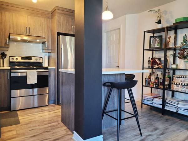 4234 Rue La Perrière, Longueuil (Saint-Hubert) — photo 16