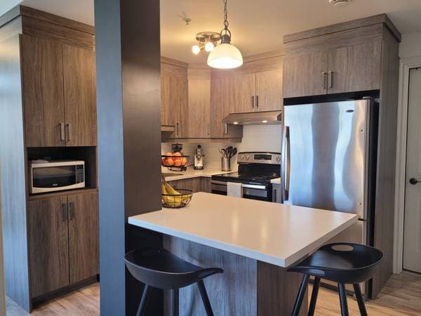 4234 Rue La Perrière, Longueuil (Saint-Hubert) — photo 17