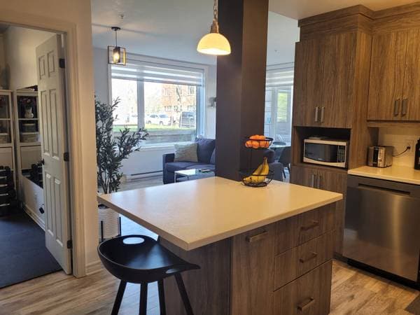4234 Rue La Perrière, Longueuil (Saint-Hubert) — photo 18