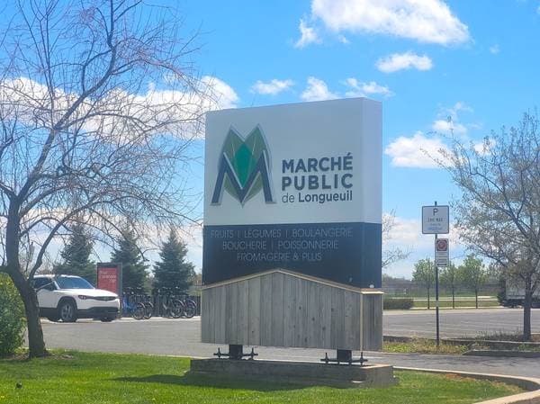 4234 Rue La Perrière, Longueuil (Saint-Hubert) — photo 41