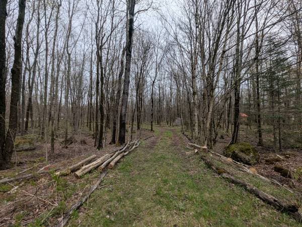 Ch. George-Bonnallie, Eastman — photo 5