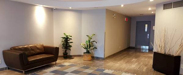 256 Rue Sherbrooke O. #2, Montréal (Ville-Marie) — photo 4