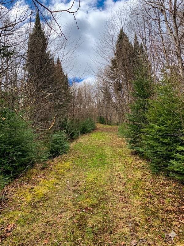 land — 217 Ch. Georges, Notre-Dame-des-Bois