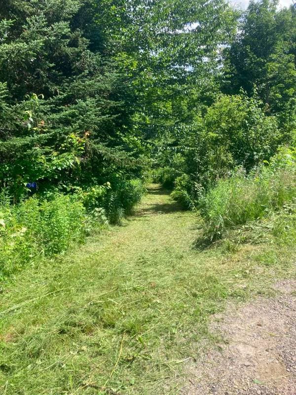 217 Ch. Georges, Notre-Dame-des-Bois — photo 11