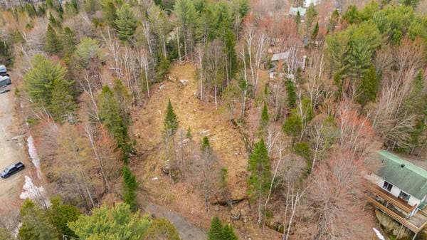 Rue Hillside, Morin-Heights — photo 6