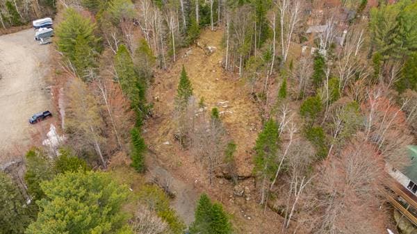 Rue Hillside, Morin-Heights — photo 8