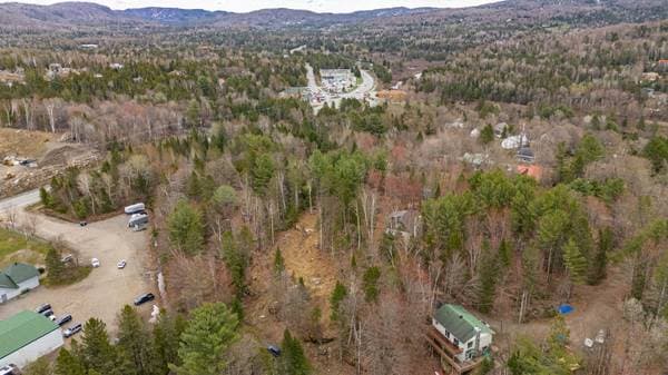 Rue Hillside, Morin-Heights — photo 10
