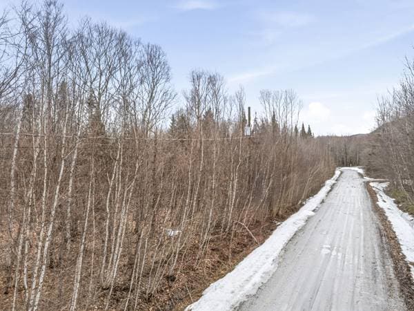 Ch. Lily-Butters, Eastman — photo 8