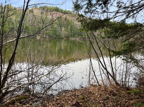 Ch. Rustique, Morin-Heights — photo 4