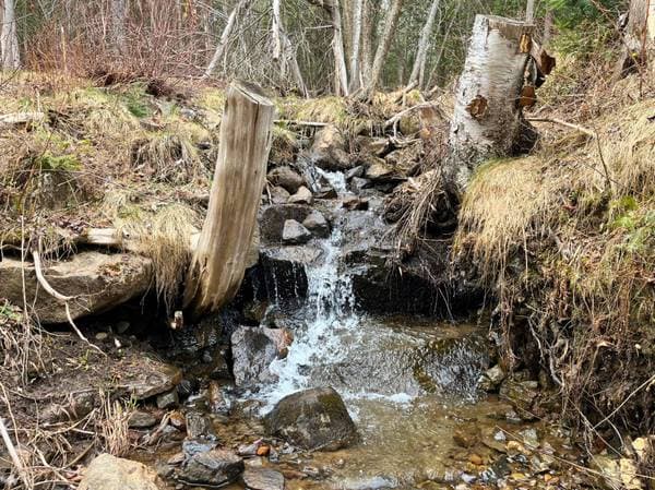 Ch. Rustique, Morin-Heights — photo 5