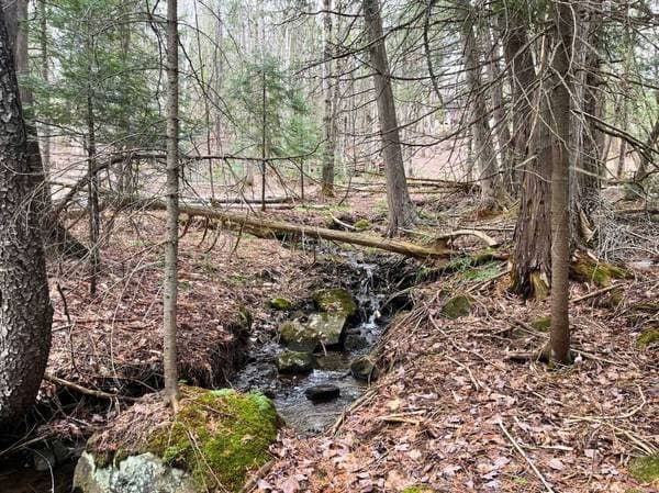 Ch. Rustique, Morin-Heights — photo 6