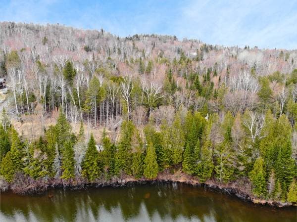 Ch. Rustique, Morin-Heights — photo 9