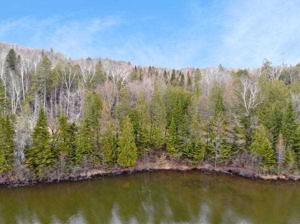 Ch. Rustique, Morin-Heights — photo 10