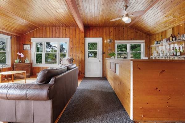 109 Ch. Baie-Dorval, Laniel — photo 11