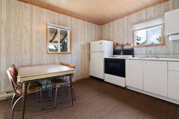 109 Ch. Baie-Dorval, Laniel — photo 40