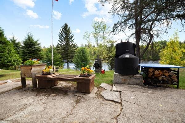 109 Ch. Baie-Dorval, Laniel — photo 46