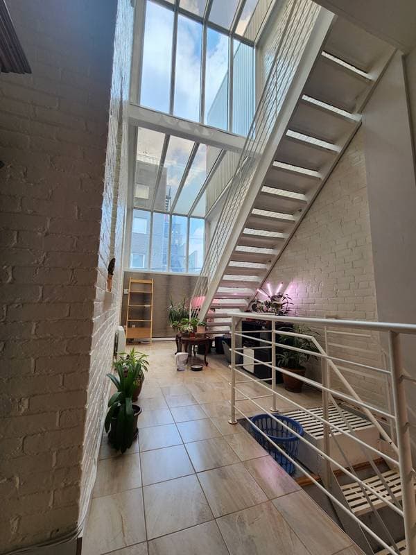 triplex — 3691 -3695 Rue Drolet, Montréal (le Plateau-Mont-Royal)