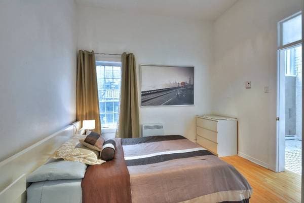 3691 -3695 Rue Drolet, Montréal (le Plateau-Mont-Royal) — photo 12