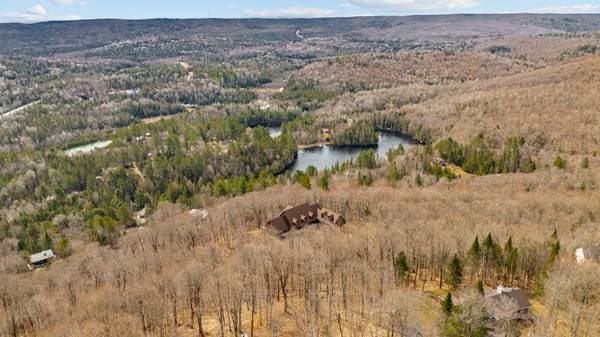 77 Rue Dwight, Morin-Heights — photo 74
