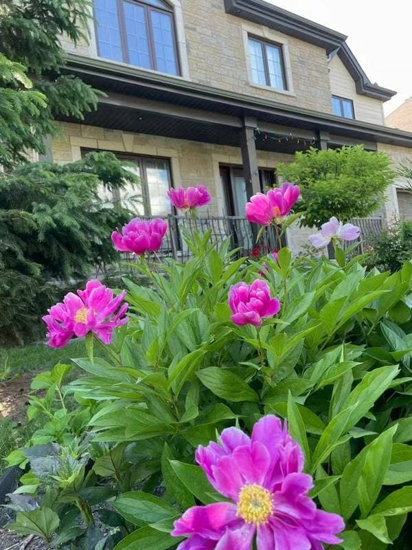 63 Rue Jean-Gascon, Gatineau (Aylmer) — photo 47