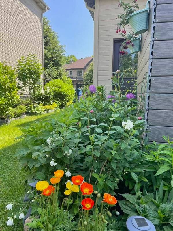 63 Rue Jean-Gascon, Gatineau (Aylmer) — photo 48