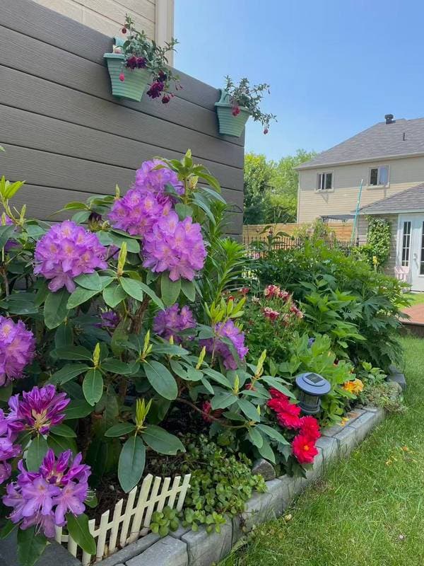 63 Rue Jean-Gascon, Gatineau (Aylmer) — photo 50