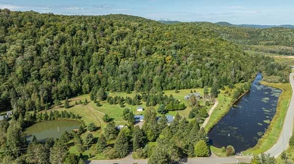86 Ch. de la Montagne, Arundel — photo 3