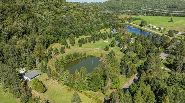 86 Ch. de la Montagne, Arundel — photo 51