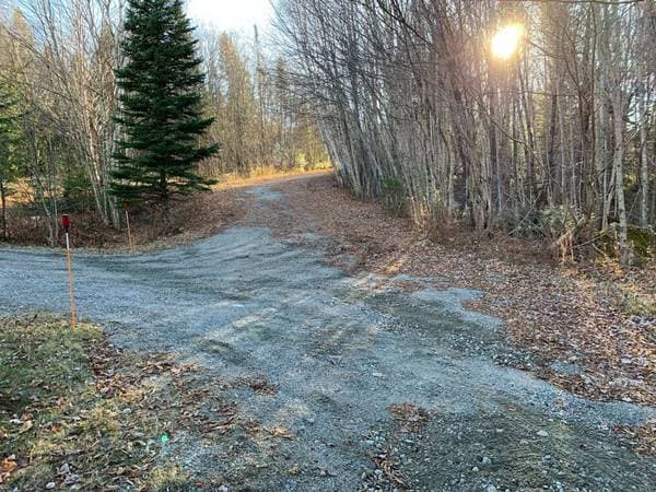 6000 Imp. Louis-Olivier-Leduc, Sainte-Agathe-des-Monts — photo 33
