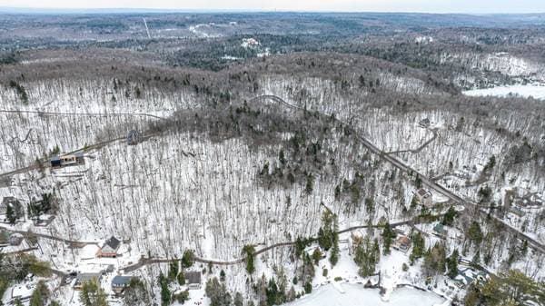 Ch. du Lac-des-Becs-Scie E., Saint-Sauveur — photo 14